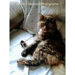 Image 1 of customer photos