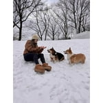 Image 3 of customer photos