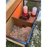 Image 1 of customer photos