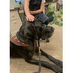 Image 3 of customer photos