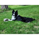 Image 6 of customer photos