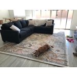 Image 2 of customer photos