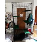 Image 6 of customer photos