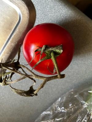 Fresh Tomato on the Vine, Bag (1.9 lbs/Bag Est.) - Walmart.com