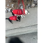 Image 3 of customer photos