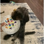 Image 6 of customer photos