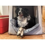 Image 2 of customer photos