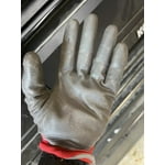 Image 2 of customer photos