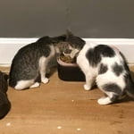 Image 2 of customer photos