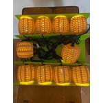 Image 6 of customer photos