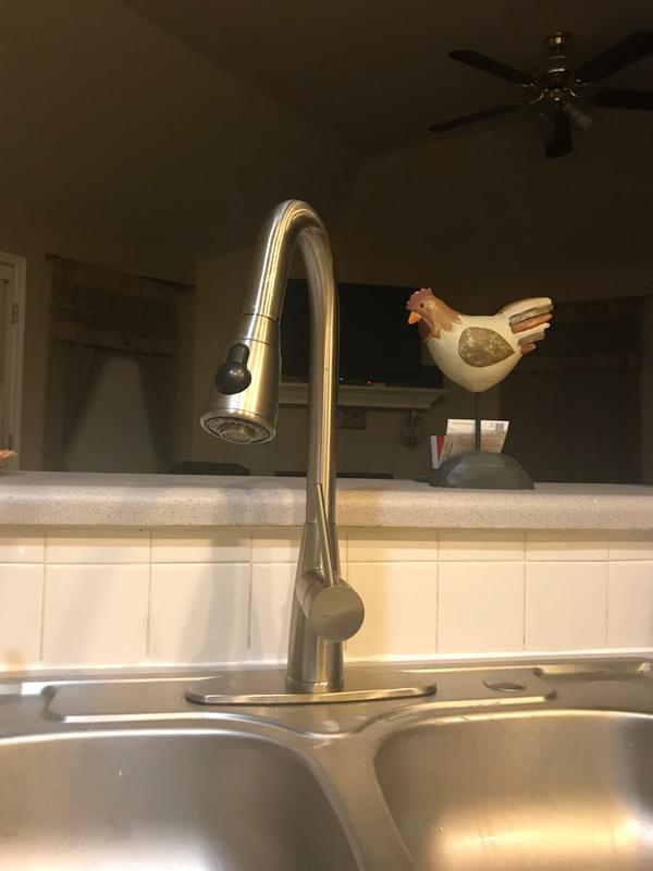 Hardware House Single Handle Gooseneck Kitchen Faucet With Sprayer