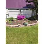 Image 3 of customer photos
