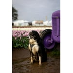 Image 5 of customer photos