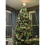 Image 7 of customer photos