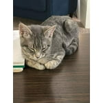 Image 5 of customer photos