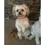 Image 2 of customer photos