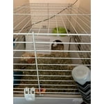 Image 3 of customer photos