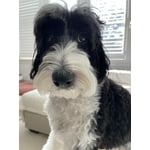 Image 5 of customer photos