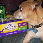 Image 6 of customer photos