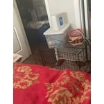 Image 4 of customer photos