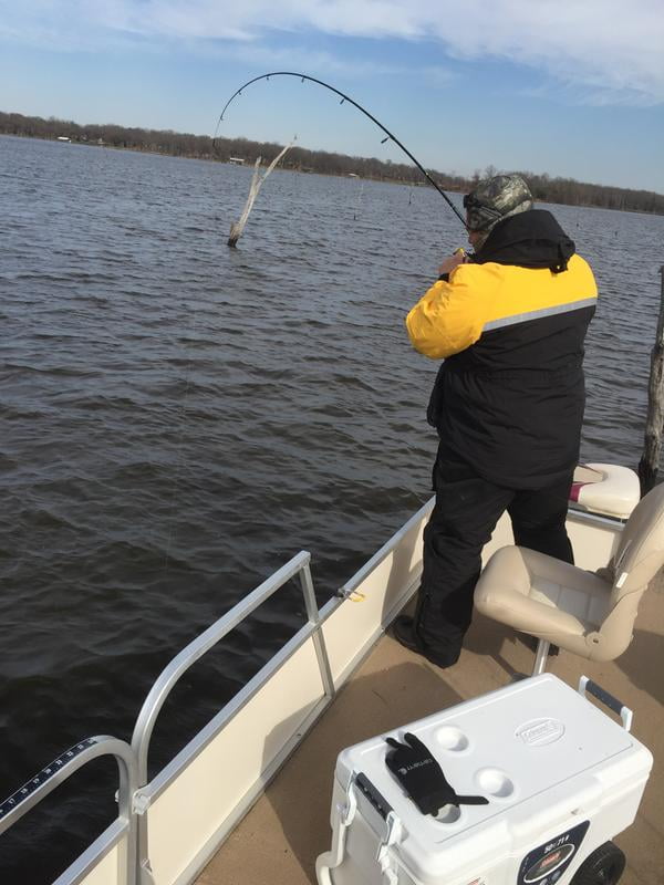 ugly stik catfish pole