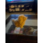 Image 2 of customer photos