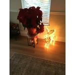 Image 4 of customer photos