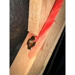 Image 7 of customer photos