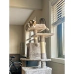 Image 6 of customer photos