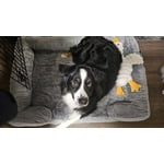 Image 6 of customer photos