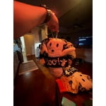 Image 6 of customer photos