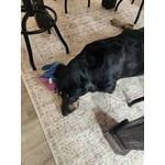 Image 7 of customer photos