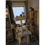 Image 1 of customer photos