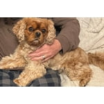 Image 5 of customer photos