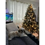 Image 2 of customer photos