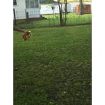 Image 7 of customer photos