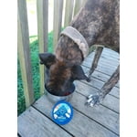 Image 6 of customer photos