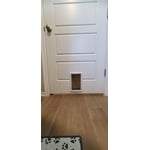 Image 3 of customer photos