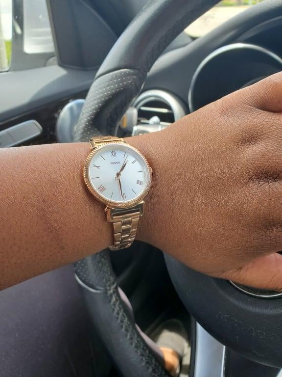 Fossil daisy new arrivals
