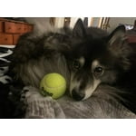 Image 7 of customer photos