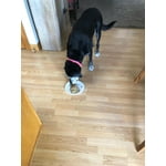 Image 6 of customer photos