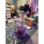 Image 6 of customer photos