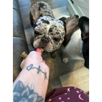 Image 6 of customer photos