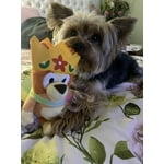 Image 6 of customer photos