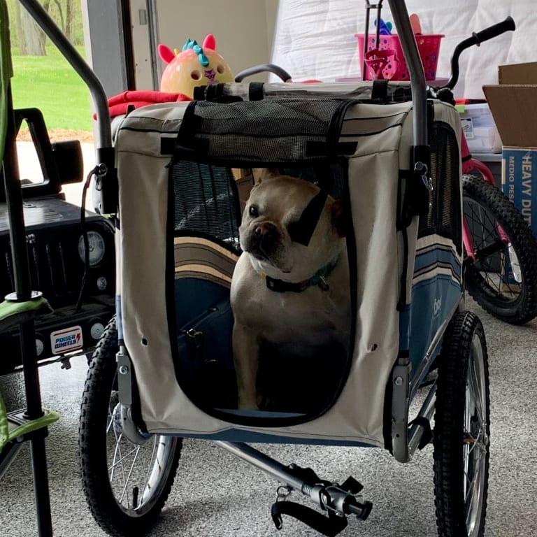 Bike Trailers & Accessories for Pets