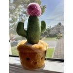 Image 3 of customer photos