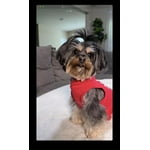 Image 4 of customer photos