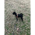 Image 7 of customer photos