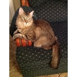 Image 7 of customer photos