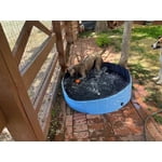 Image 7 of customer photos